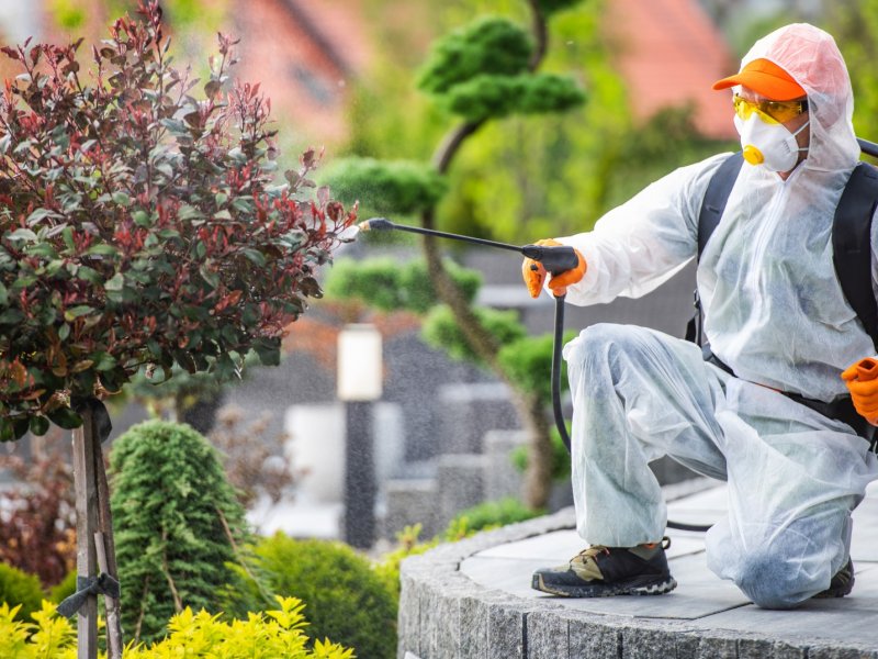 Gümüldür Haşere İlaçlama